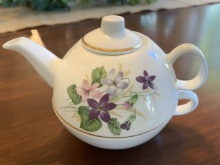Royal Tara Individual Teapot And Cup Hand Painted Stackable Bone China Tea Set