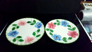 2 Pc Blue Ridge Southern Pottery Norma 9 3/8 " Luncheon,  10 1/4 " Dinner Plate