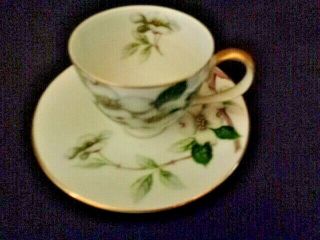 Meito China Norleans Livonia Dogwood Flowers Occupied Japan Tea Cup & Saucer
