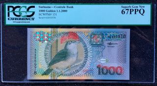 2000 Suriname 1000 Gulden Pk 151 Pcgs 67ppq