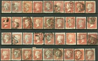 Thirty - Six C6 Penny Reds