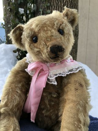 " Crumpet " 16 In Endearing And Well Loved Antique Steiff Bear With Button