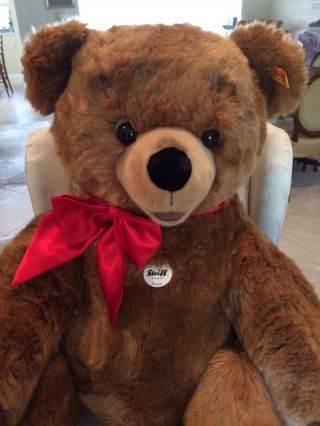 Steiff - Studio Bobby Bear - Ean 500411 - 120 Cm - A Great Teddy Bear -