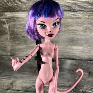 Monster High Create A Monster Cam Werecat Cat W/ Wig Ears Tail Ooak