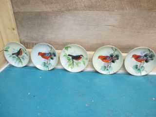 Kp7484 (5) Vintage 4 " Diameter Lefton China Hand Painted Bird Plates / Saucers