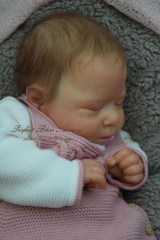 Pbn Yvonne Etheridge Reborn Baby Doll Girl Sculpt Luciano By Cassie Brace 0119