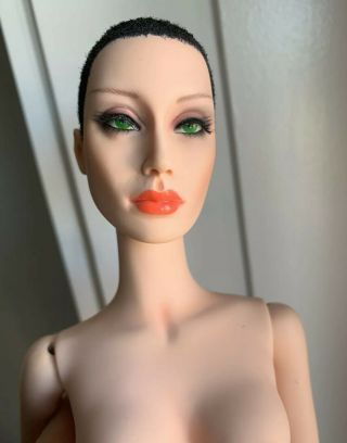 Sybarite Dionysis by Superdoll - complete MIB with 2 sequin tops from Champ Paq 2
