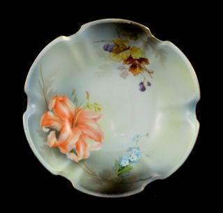 Vintage R.  S.  Germany Bowl With Flowers Hand - Painted
