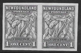 Newfoundland 1932 - 38 1c.  Grey Imperf.  Pair Sg 222a