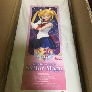 Sailor Moon X Dollfie Dream Dds Volks Doll From Japan Anime Figure