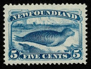 Canada Newfoundland Stamp Scott 54 5c No Gum