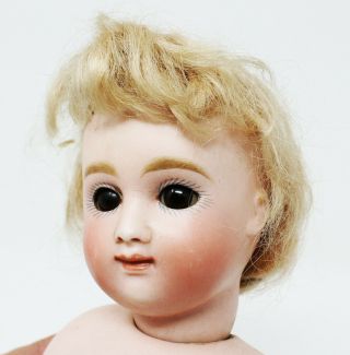 Very Desirable Kestner A.  T.  Type Round Moonface 14 " Bisque Doll