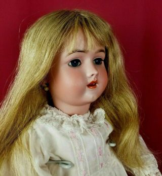 Antique German Heinrich Handwerck Simon Halbig Bisque Head Doll Set Blue Eyes
