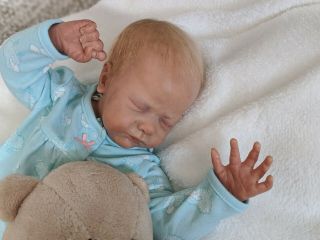 Jayden By Natalie Scholl Long Reborn Newborn Baby Girl Long Le