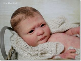 Studio - Doll Baby Reborn Boy Owen By Jessica Schenk Limit.  Ed So Real