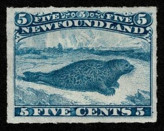 Canada Newfoundland Stamp Scott 40 5c Harp Seal No Gum Well Centered