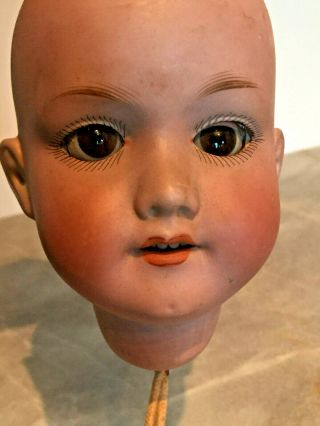 Antique Armand Marseille German Bisque Baby Doll Head 390 A4m