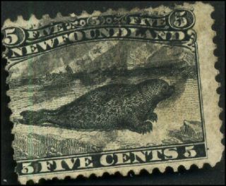 Newfoundland 26 F 1868 Harp Seal 5c Black Cv$200.  00