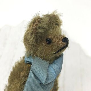 Steiff Small Antique Mohair Teddy Bear Early 1900s 4 