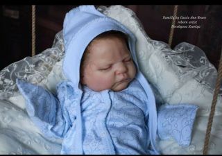 Reborn Baby Romilly By Cassie Brace Mohair - Ltd Edition