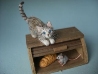 Ooak Dollhouse 1:12 Miniature Tiny Kitten,  Mouse,  Bread Box Handmade Oreon Cat