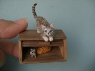 OOAK Dollhouse 1:12 Miniature Tiny Kitten,  Mouse,  Bread Box handmade OREON cat 2