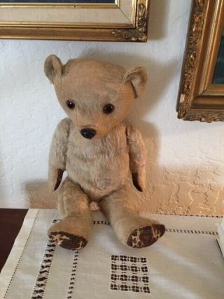 Antique Teddy Bear With Hump,  Straw Stuffed.  Chad Valley (i Believe) 1930s - 1940s