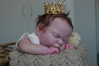 Reborn Baby Girl Romilly / Cassie Brace Newborn Mr Mohair Ltd Edition