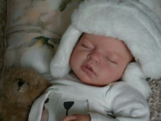 Realistic Reborn Baby Girl " Noah " By Reva Schick Just In Time For Christmas