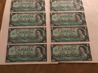 Eight 1867 1967 Canada Canadian Centennial One 1 Dollar Bill Notes Crisp Unc