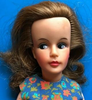 1964 Era Ideal Tammy doll 