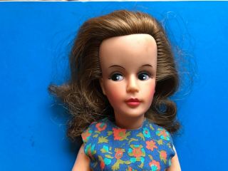 1964 Era Ideal Tammy doll 