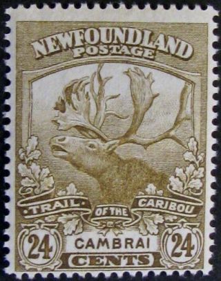 Newfoundland 125 - Fine Mh 24 - Cents Trail Of The Caribou Issue
