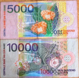 Surinam Suriname 5000 & 10000 Gulden 2000 (Birds) Firm Notes 2