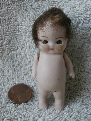 Tiny Antique All Bisque Imp Kewpie Style Doll 2 1/2 " German Glass Eyes & Wig