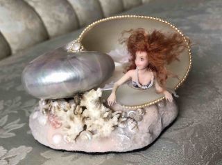 Julie Mansergh / Fairies In The Attic Fita - Nautilus Shell Mermaid Ooak Fairy