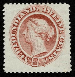 Canada Newfoundland Stamp Scott 28 12c Queen Victoria Lh Og