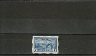 A92 - Canada - Sgo190 Mnh 1950 7c Blue - Official - Goose - Cv £24.  00