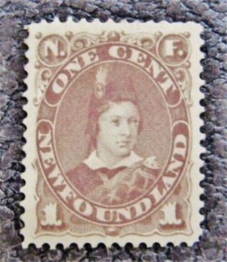 Nystamps Canada Newfoundland Stamp 42 Og H Un$75 Vf