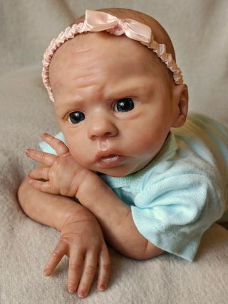Reborn Baby Girl Josiah By Laura Tuzio Ross