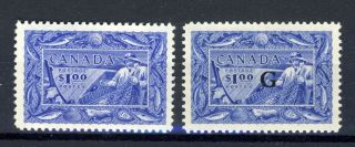 2x Canada 302 - $1.  00 Mlh Vf & G.  Overprint No.  027 Mlh Vf.  Cat.  Value = $160.  00
