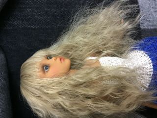 Lillycat Doll,  Amy,  Bjd Doll 41 Mc Tall,  Glass Eyes 8mm,  Color Carmal