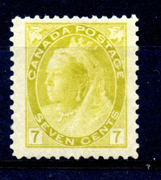 Weeda Canada 81 Jumbo 7c Olive Yellow 1902 Qv Numeral Issue Cv $75