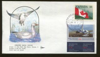1989 Canada Wildlife Conservation Duck Stamp Cn5 Gill Craft First Day Cover