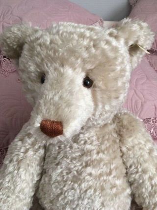 Immaculate Large 28 Inch Steiff Bear I Want A Home For Christmas