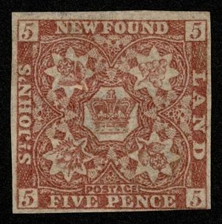 Canada Newfoundland Stamp Scott 19 5p Crown Of Great Britain No Gum