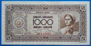 Yugoslavia; 1000 Dinara 1946,  Without Sec.  Thread (rare Type),  Xf - /xf