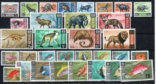 Kenya,  Tanzania,  1966,  1967,  Two Long Sets Definitives,  Animals,  Mnh