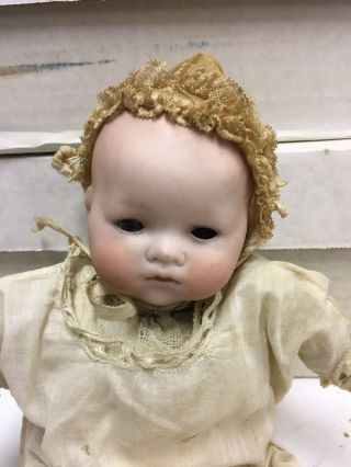 Sweet Antique German A M 341 - 2 11.  5” Bisque Compo Dream Baby Doll.  3.
