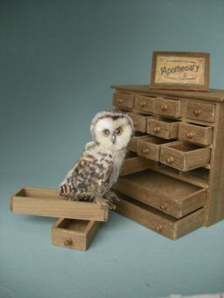 Ooak Dollhouse 1:12 Miniature Owl Apothecary Chest Of Drawers Handmade Oreon Cat